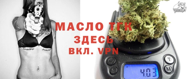 индика Нея