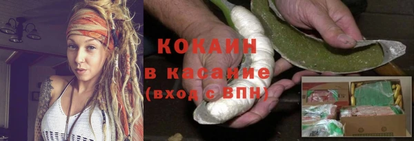 индика Нея