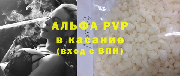 индика Нея