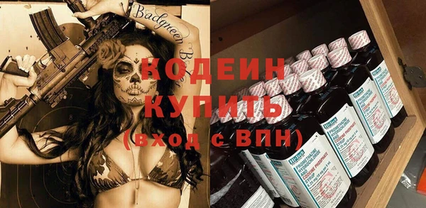 индика Нея