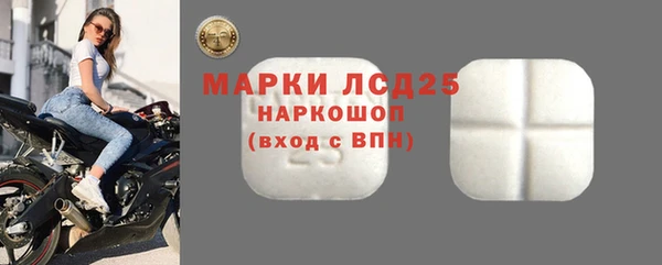 индика Нея
