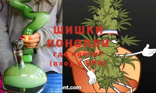 индика Нея