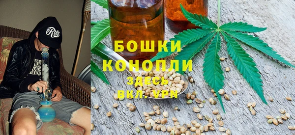крисы Нефтегорск
