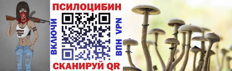Псилоцибиновые грибы мицелий  Купить  Галич 